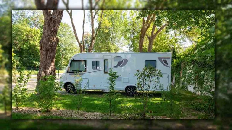 Colère des habitants de cette ville après l'abattage d'arbres et de végétation lors de l'installation de caravanes
