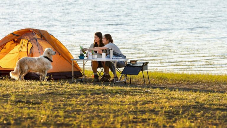 Camping en bord de mer ou à la campagne : séjournez dès 159€ la semaine !