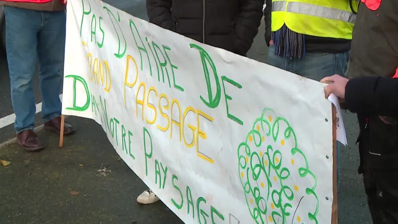 Manifestation des opposants au projet de l'aire de grand passage près de Toulouse le mardi 3 décembre 2024.
