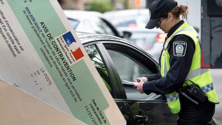 Immobilisation du véhicule : l’erreur à éviter absolument sous peine d'une amende de 3 750 €