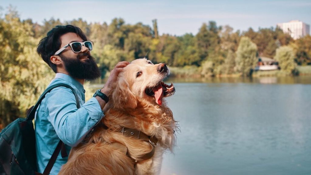 Voyager avec votre animal : les étapes clés à ne pas manquer avant de partir