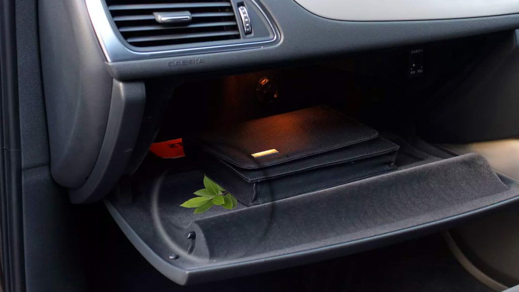 Découvrez l'astuce imparable du laurier : pourquoi chaque voiture devrait en avoir un dans sa boîte à gants