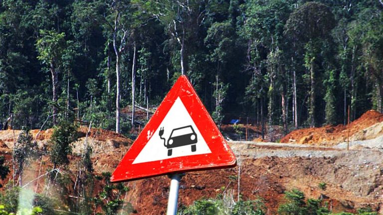 18 terrains de foot de forêts détruits chaque jour à cause de nos voitures électriques