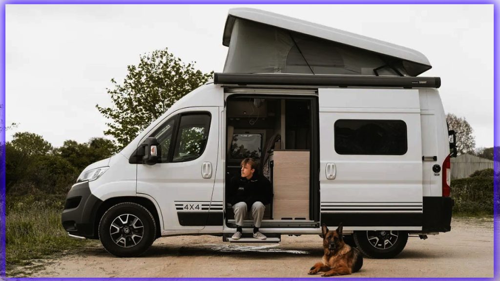 Van aménagé spécial chien : cette innovation belge facilite enfin les voyages avec votre compagnon à quatre pattes