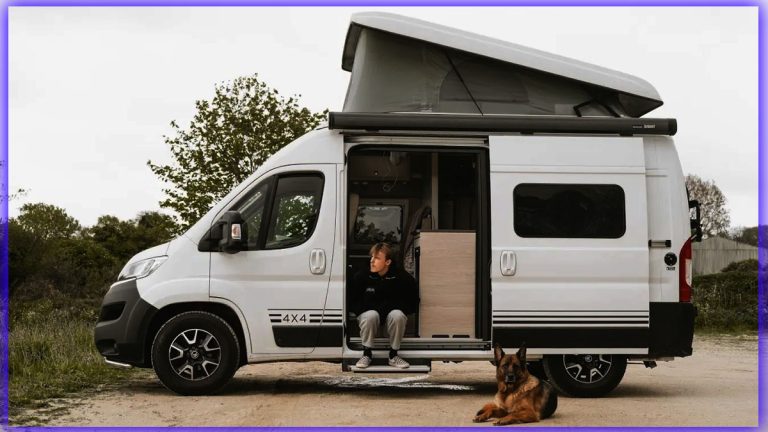 Van aménagé spécial chien : cette innovation belge facilite enfin les voyages avec votre compagnon à quatre pattes